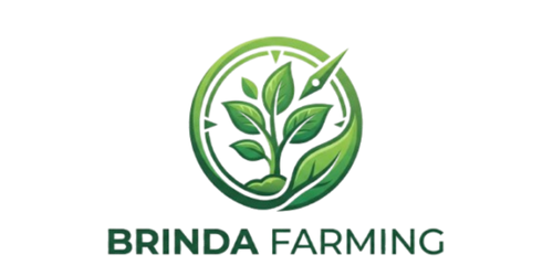 Brinda Farming